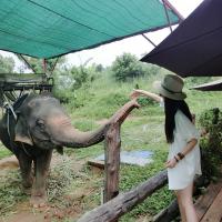 /photo/667183/游玩归来/泰国4 (1)_1_1_small.jpg